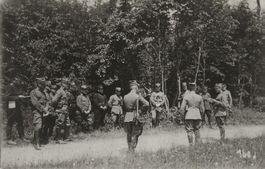 Militär,Hohe Offiziere,Uniform,Manöver