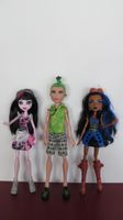 Monster High Puppen Set ( stark bespielt )