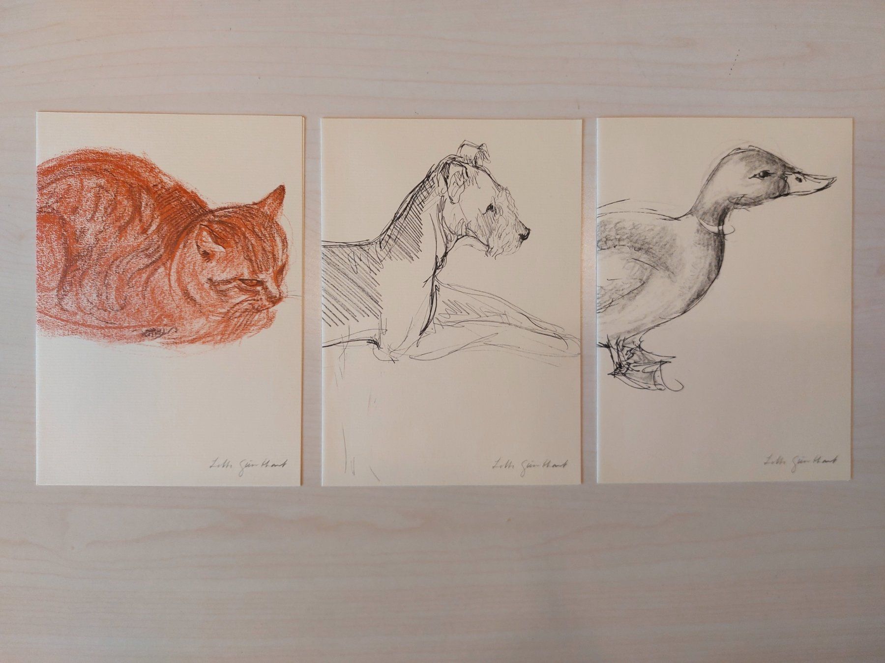 Gemälde: Kunstmappe Lotte Günthart meineTiere – Gebraucht aus Heerbrugg von Sonytime 6