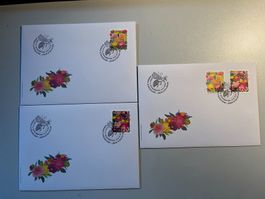 FDC 2025 / aus 10er Bogen SET - nicht im Abo