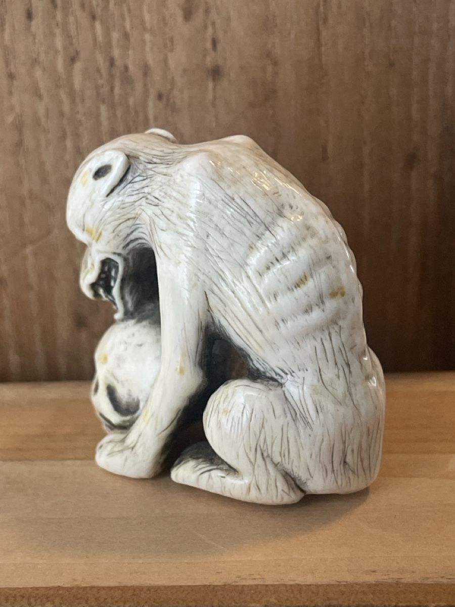 Statuette: Netsuke, sitzender Wolf oder Hund mit Schädel – Usato da Embrach venduto da Gauvain1 2
