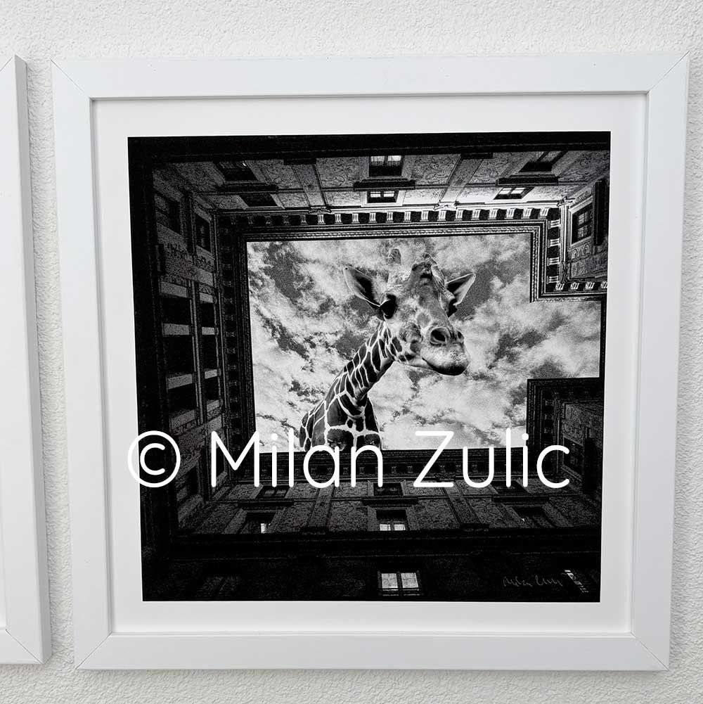 Foto & Immagini: Travel postcards 013 – Nuovo (secondo la descrizione) da Uetikon am See venduto da mil_7k2b