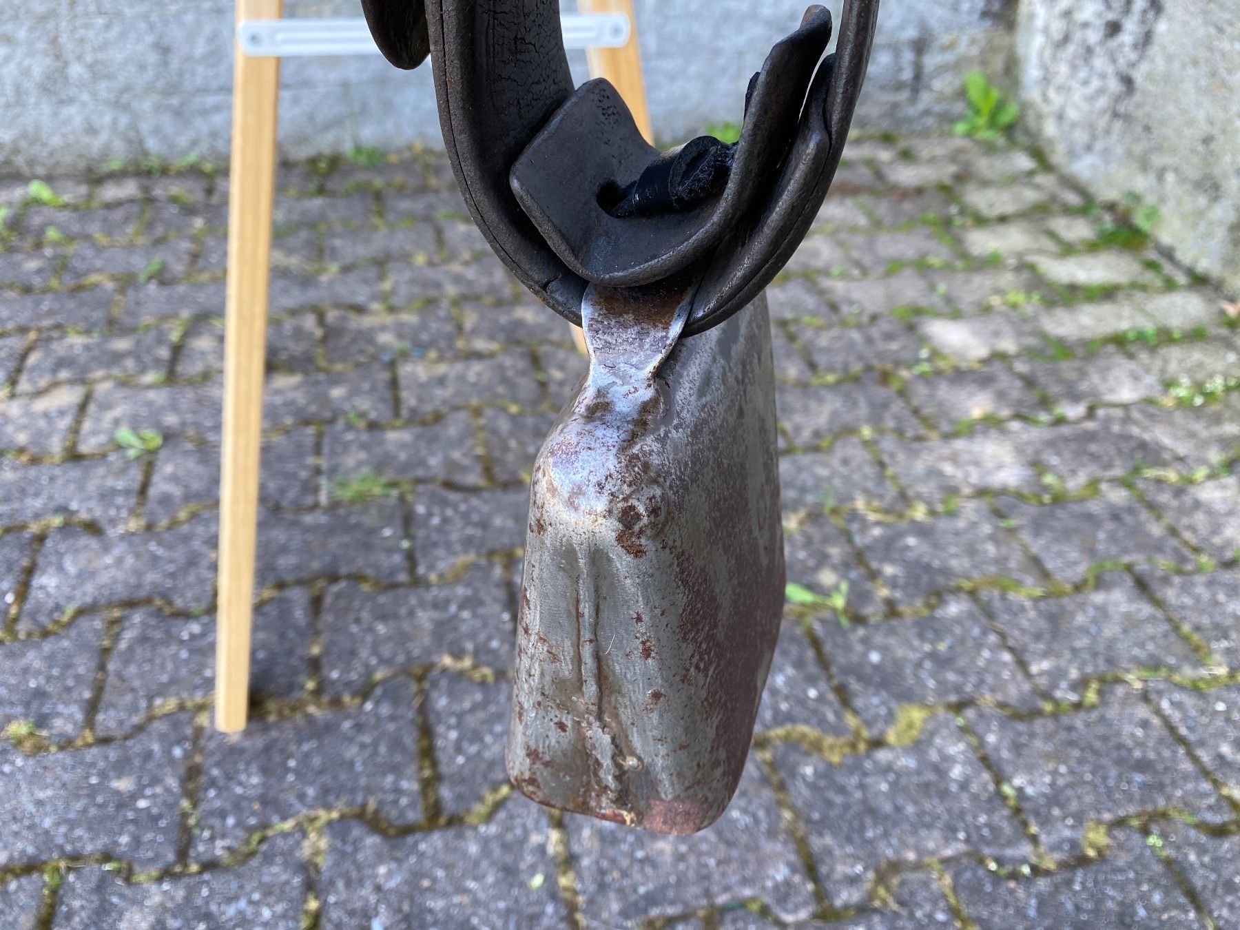 Campanacci mucche: schöne Schelbert Gotthard Bisse Nr. 5 – Usato da Feldbach venduto da Fea1 7