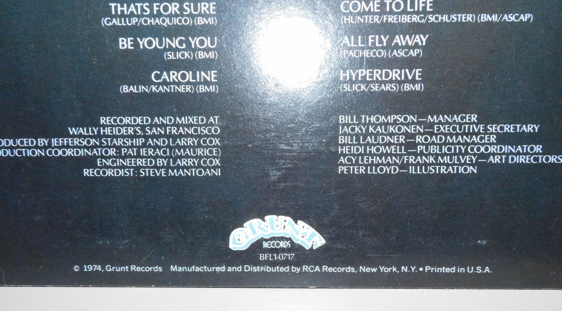 Dischi in vinile: LP Dragon Fly Schallplatte 1974 – Usato da Sursee venduto da 76 3