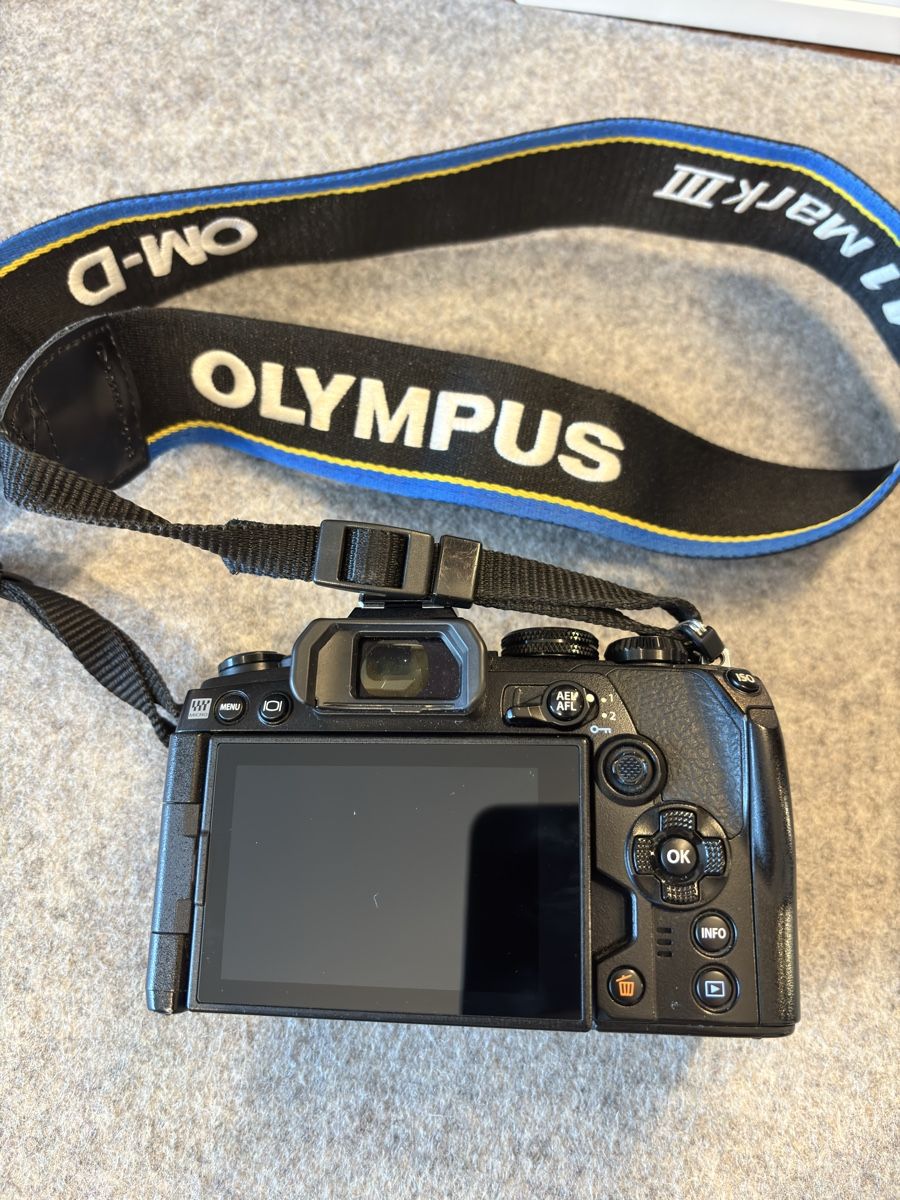 Olympus Fotocamera: Olympus E-M1 Mark III – Usato da Zürich venduto da DoSch3 2