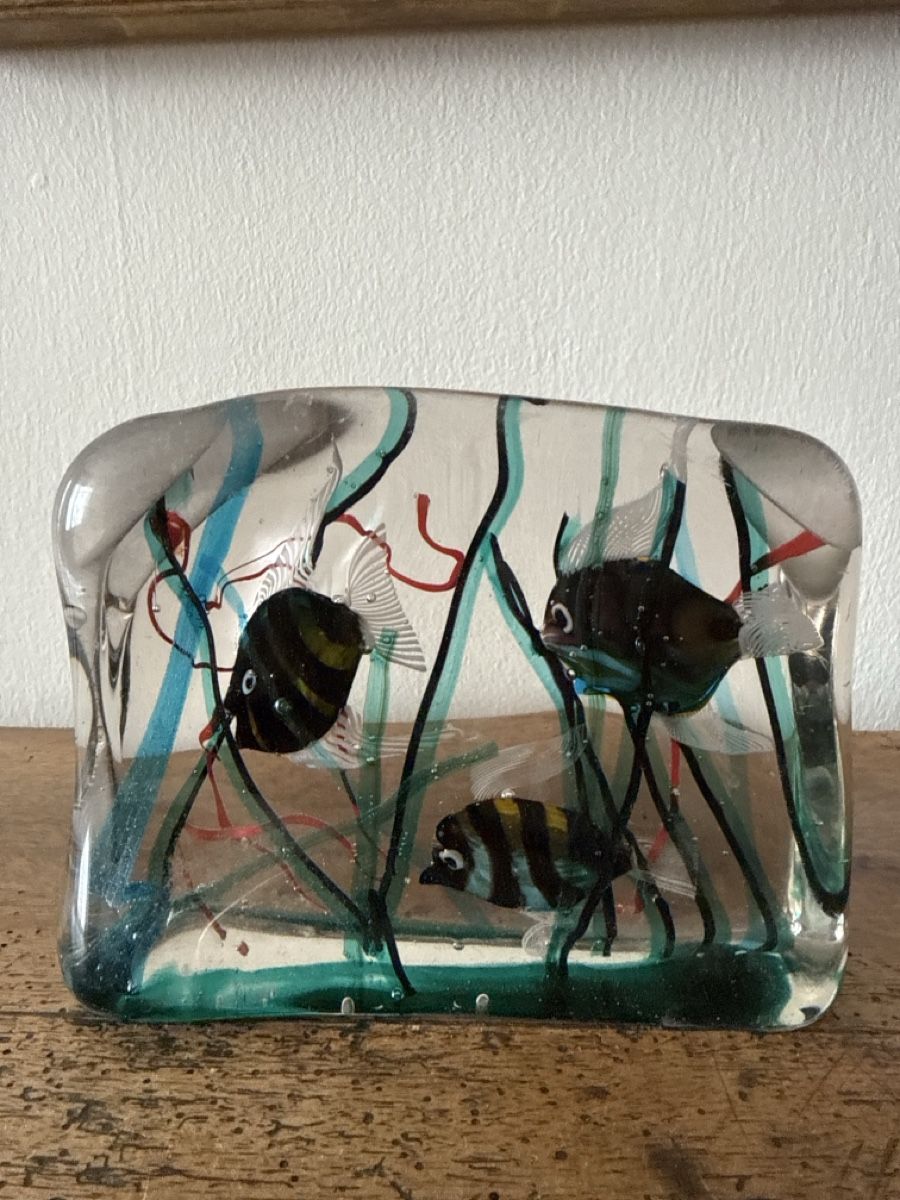 Murano Verres: Wunderschönes Murano Aquarium – D'occasion à Basel par Ramses1179 2