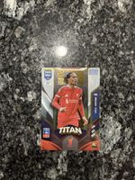 Panini Virgil Van Dijk
