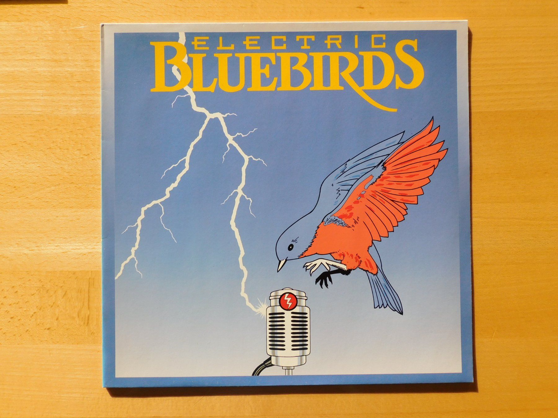 Dischi in vinile: Electric Bluebirds - same – Usato da Emmenbrücke venduto da Dickens