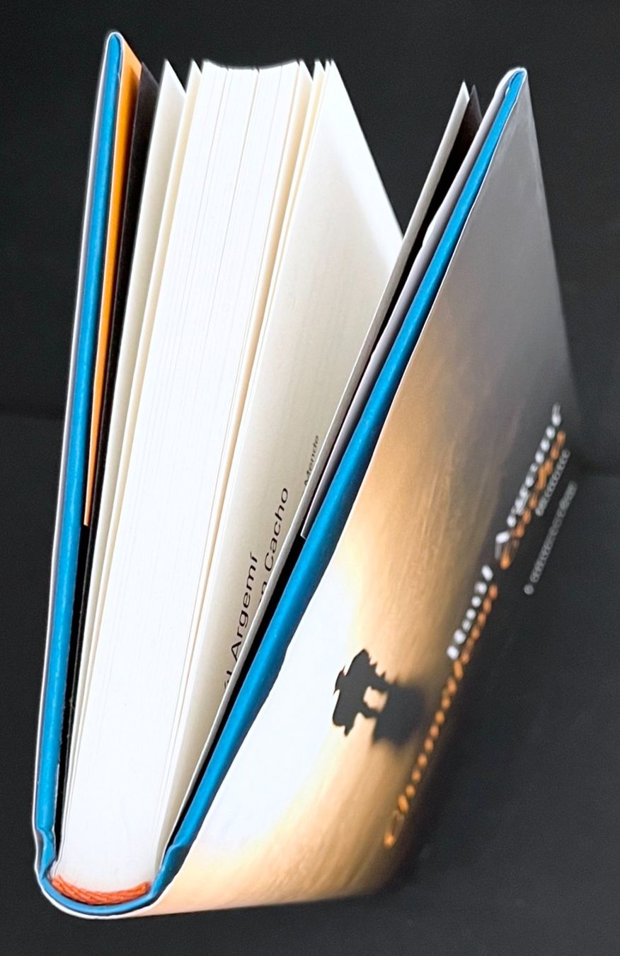Libri: Chamäleon Cacho – Raúl Argemí – Krimi – Unionsverlag – Top – Nuovo (secondo la descrizione) da Bern venduto da frank.j.webb 4