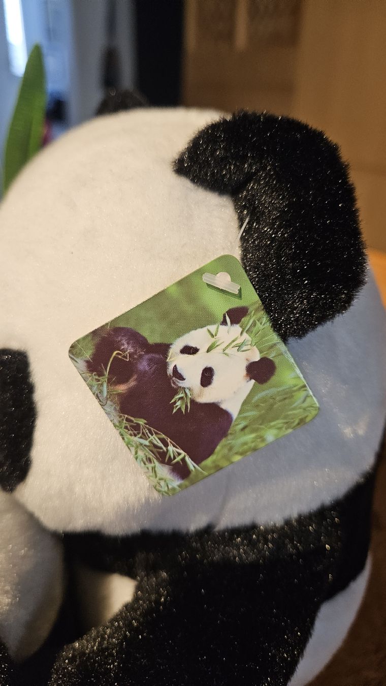 Jouets: Panda Plüschtier / Peluche – Neuf (Voir description) à Dintikon par Zaza_Lolo 5