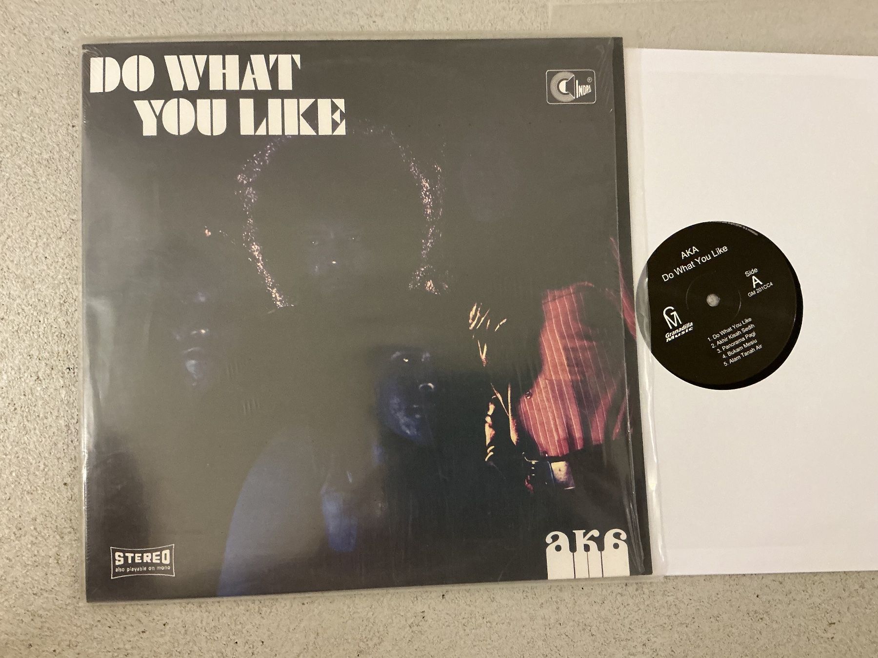 Dischi in vinile: AKA Do What You Like LP – Usato da Winterthur venduto da Tumko-Vinyl