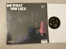 AKA Do What You Like LP