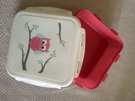 Cute Owl Lunch Box for Kids - Perfect for School!