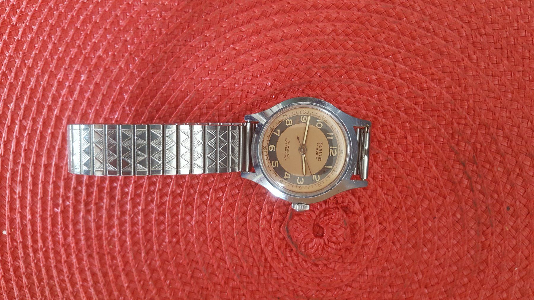 Swiss Orologi: TERIAM automatic 17 Rubis – Usato da Biel / bienne venduto da Sarouch9 1