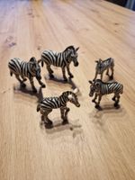 Zu Verkaufen Zebra Familie