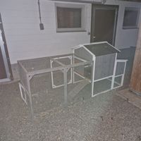 Hühnerstall,Kaninchenstall,Hasen,Stall,Huhn,Meerschweinchen