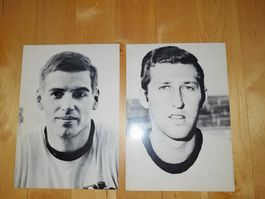 Alte yb  young boys bern autogrammkarten schweiz