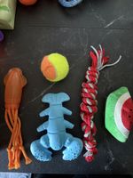 Hundespielzeug Set 5-teilig 