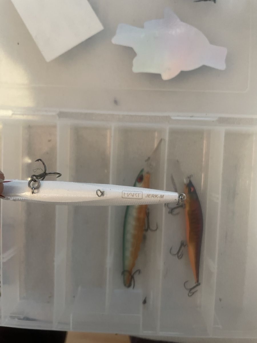 Rapala Köder: Wobbler – Gebraucht aus Schlatt TG von Michaeldominik 4