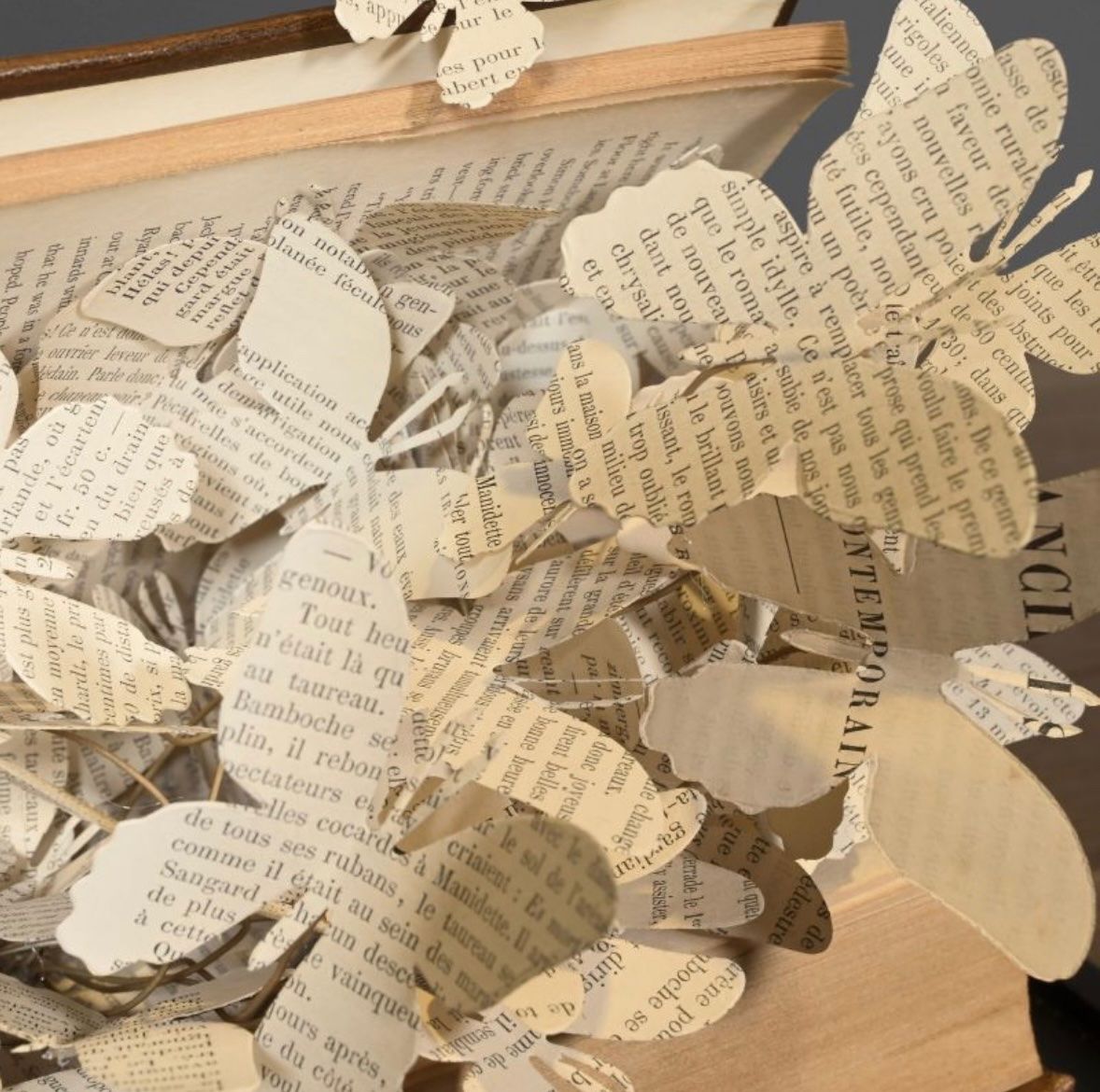 Il mondo degli animali: Papillons sous dôme – Nuovo e nell'imballaggio originale da Biel/Bienne venduto da Dragonpandora 4