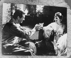 Foto Rock Hudson & Julie Andrews in Darling Lili 1970