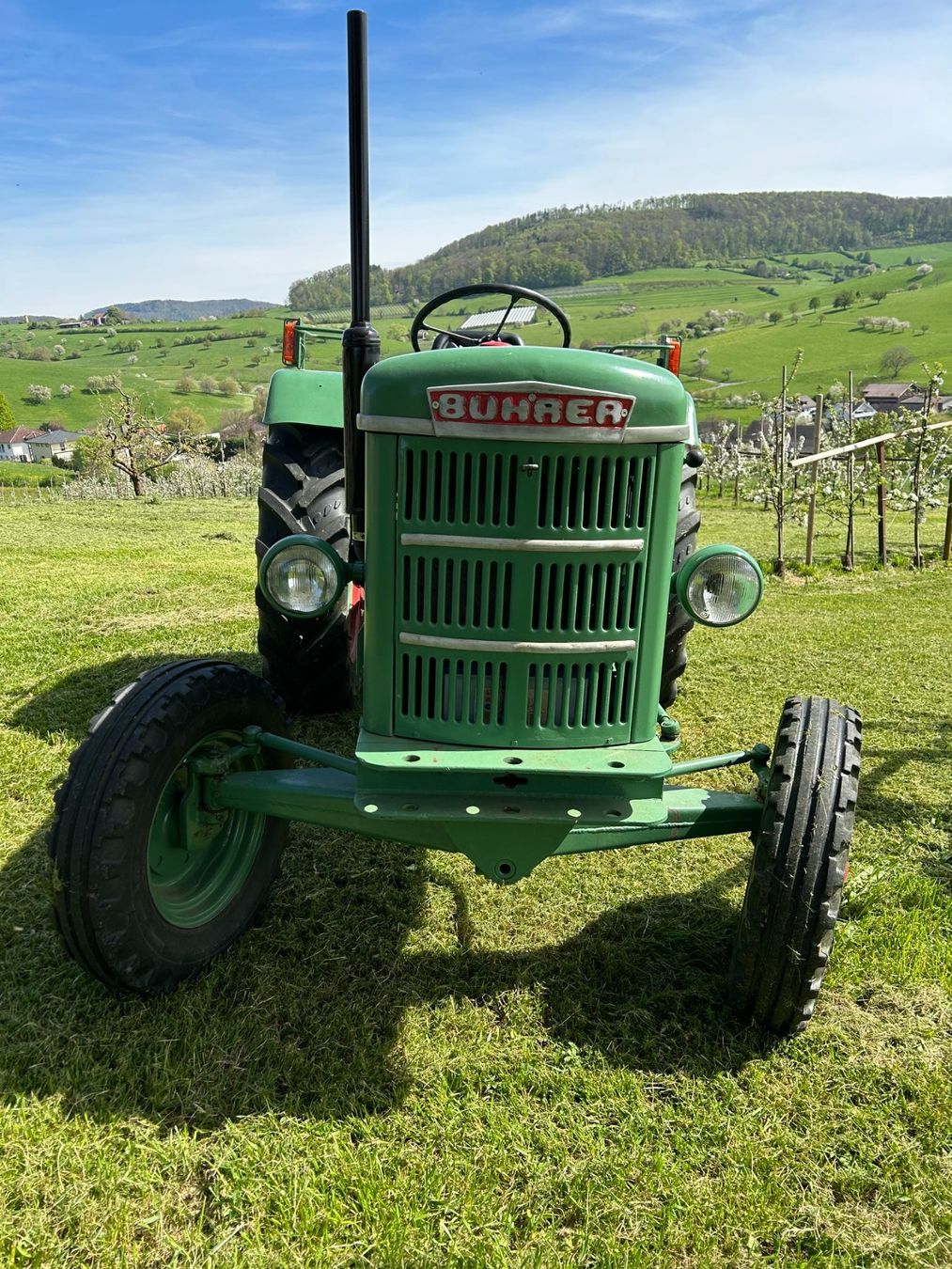 Bührer Trattori: Traktor Bührer OS 13 – Usato da Schupfart venduto da Teddy73 1
