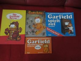 4 Garfield Bücher - Comicspass für Gross & Klein