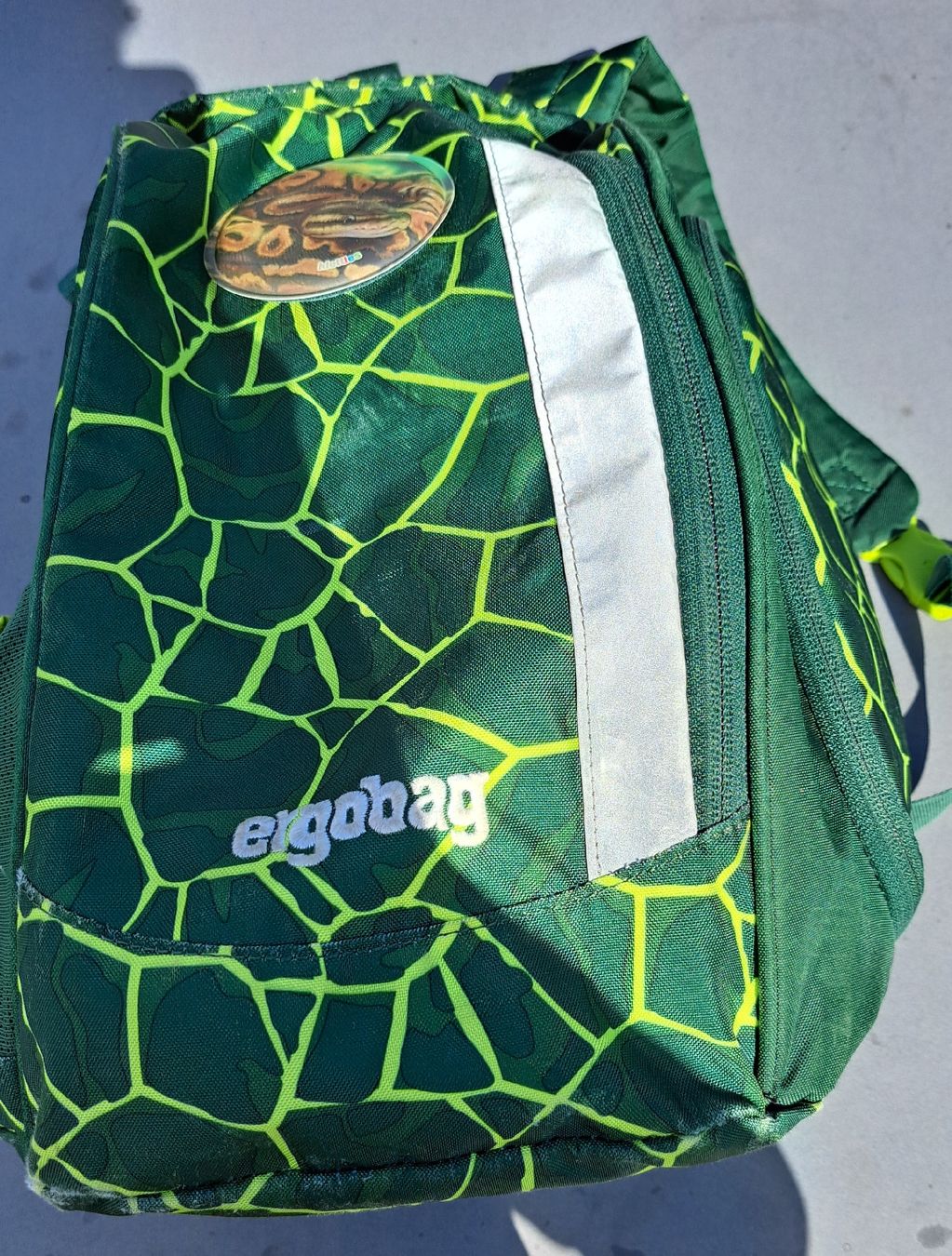 Ergobag Borse & Zaini: Ergobag Schulthek mit Zubehör – Usato da Gränichen venduto da babs_01 4