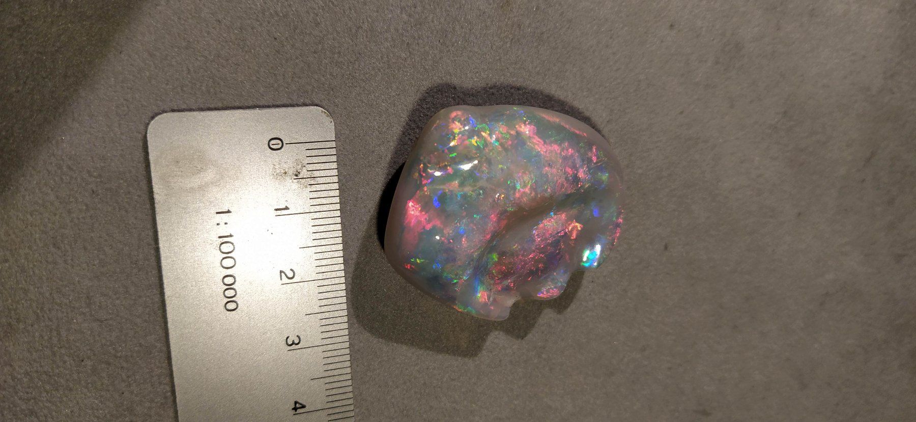 Fossili: Opalisierte Muschel – Nuovo (secondo la descrizione) da Dieterswil venduto da Opal66 7