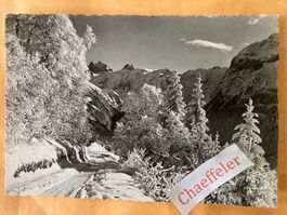 1963 Am Weg nach Schwand.