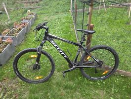 Scott Mountainbike schwarz Aluminium Grösse M gebraucht