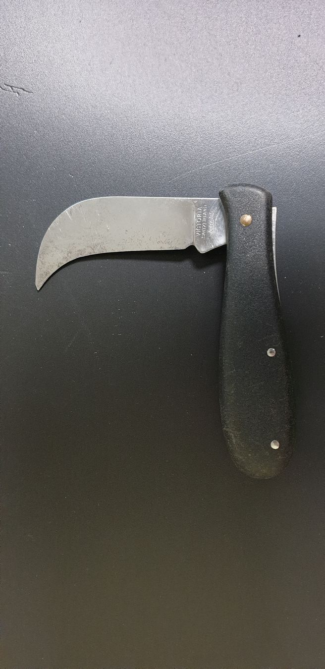 Victorinox Accessori: VICTORIA COUTEAU SERPETTE /Messer – Usato da St-Sulpice VD venduto da Miwix 3