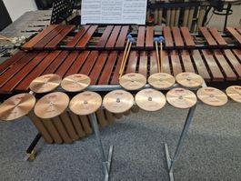 Paiste Tune Disc mit Ständer "Custom"; Chromatisch C6-C7