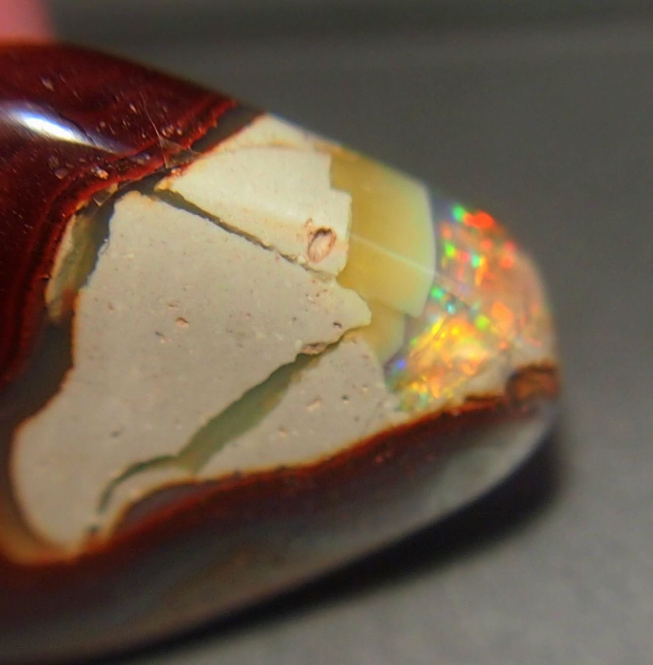 Pietre preziose: 34,6 ct. Koroitopal mit Opalfunken AAA! – Nuovo e nell'imballaggio originale da Reinach BL venduto da blumarco 3