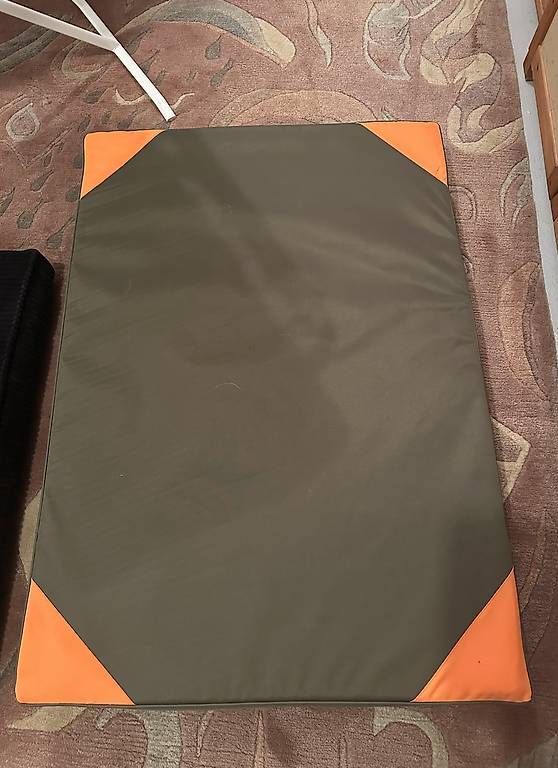 Tapis de sol: Hundegesundheitsmatte – D'occasion à Bünzen par hildebrk