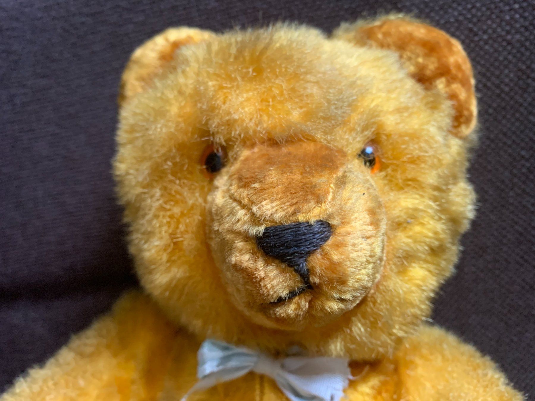 Welt der Tiere: Antiker Teddybär – Gebraucht aus Gundetswil von Egro01 1