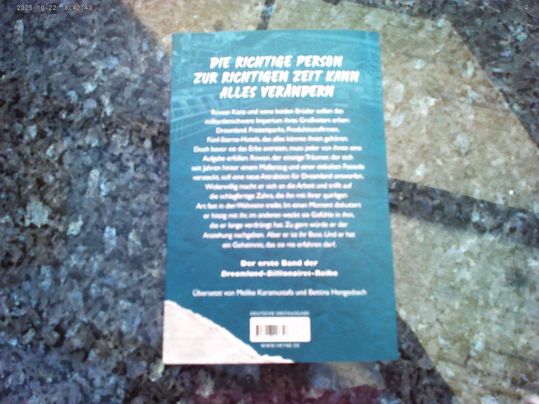 Libri: Dreamland Billionaires - The Fine Print – Usato da reitnau venduto da Sib7 1
