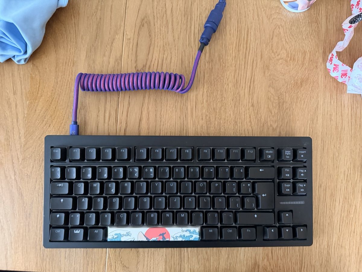 Wooting Tastiere: Clavier Wooting 80HE – Nuovo (secondo la descrizione) da Corcelles NE venduto da azafra 1