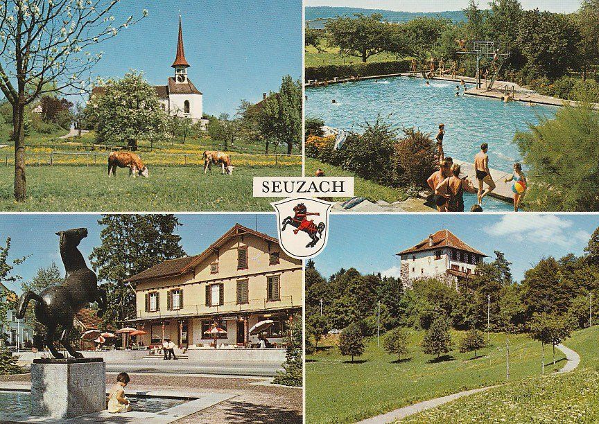 Cartoline postali: Ansichtskarte von Seuzach, ungelaufen – Usato da Zürich venduto da 1BJM5