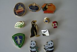 11 Pin und Anstecknadel Sammlung