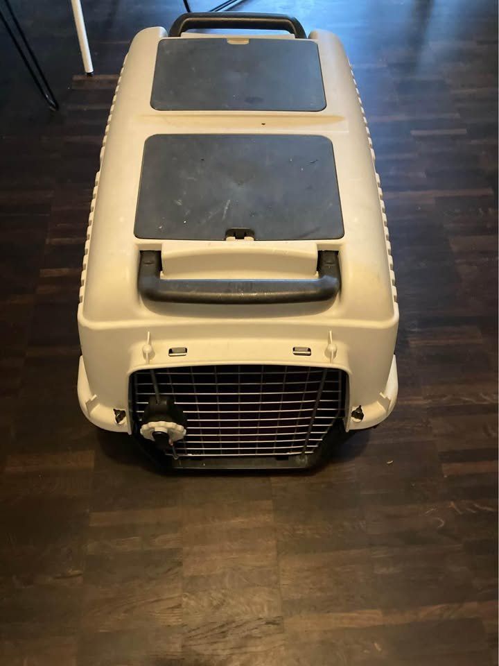 Gabbie, trasporto & Sicurezza: Branco Hundetransportbox Nr. 4 – Usato da Basel venduto da ste_d8hq 3