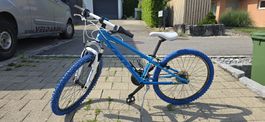 ​FELT Mountainbike 24 Zoll in Blau – Top Zustand