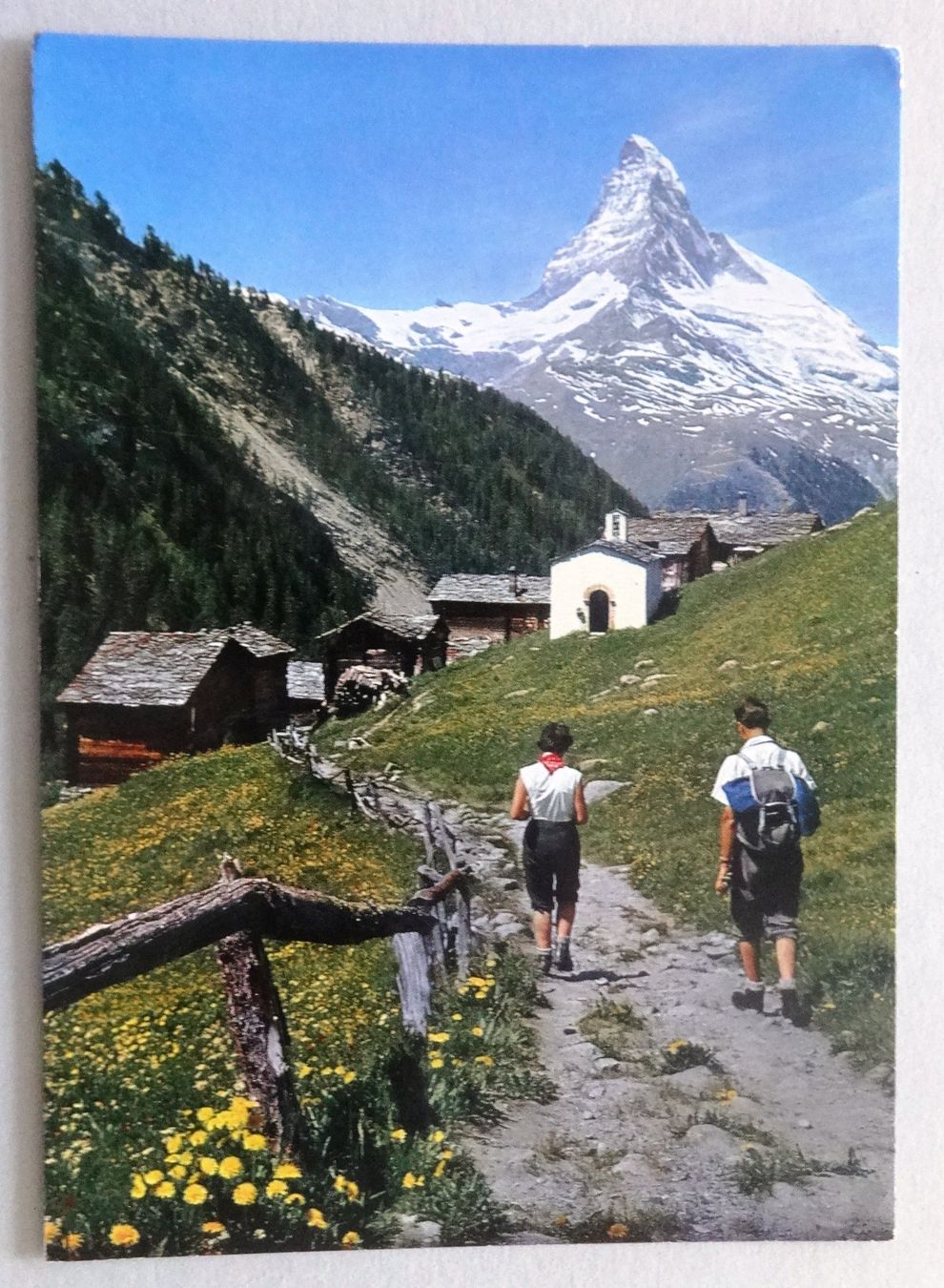 Ansichtskarten: Zermatt, Findeln mit Matterhorn – Gebraucht aus Fétigny von Billy2miny