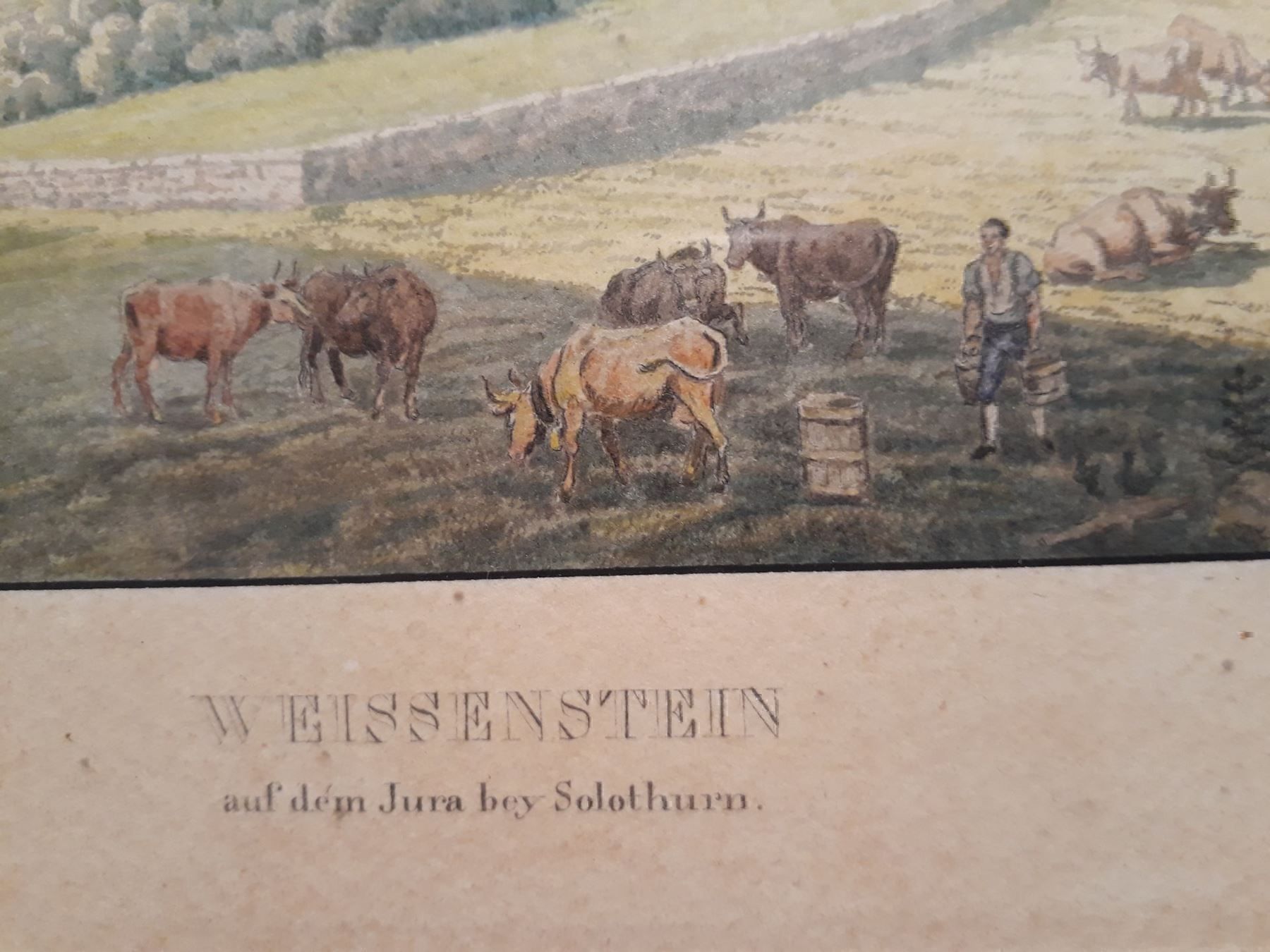 Foto & Immagini: Bild, gerahmt,Weissenstein bei Solothurn – Usato da Herzogenbuchsee venduto da Herkules9 1