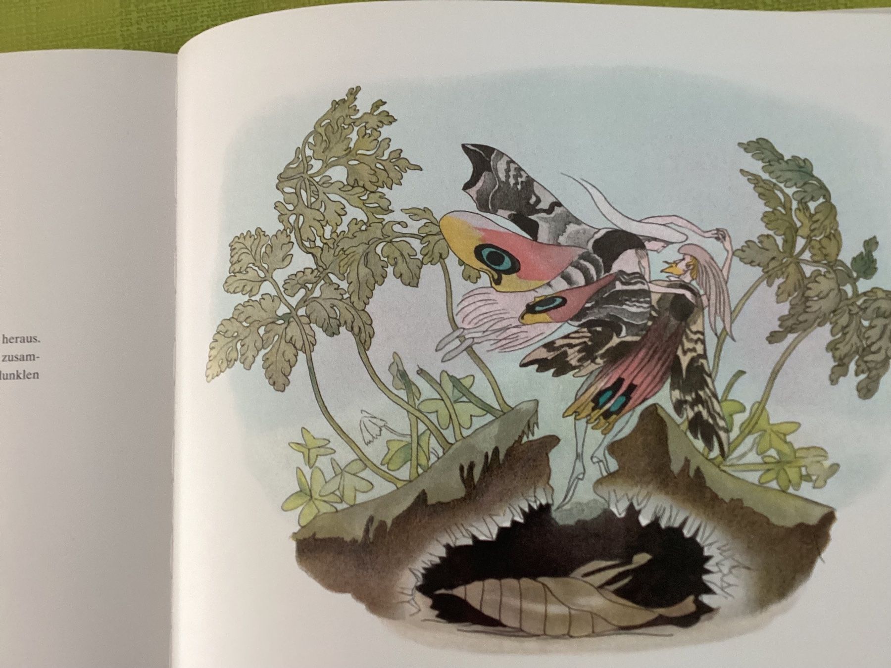 Libri: Ernst Kreidolf /  Kinderbuch / Sommervögel – Usato da Beinwil am See venduto da kae_gh7c 5