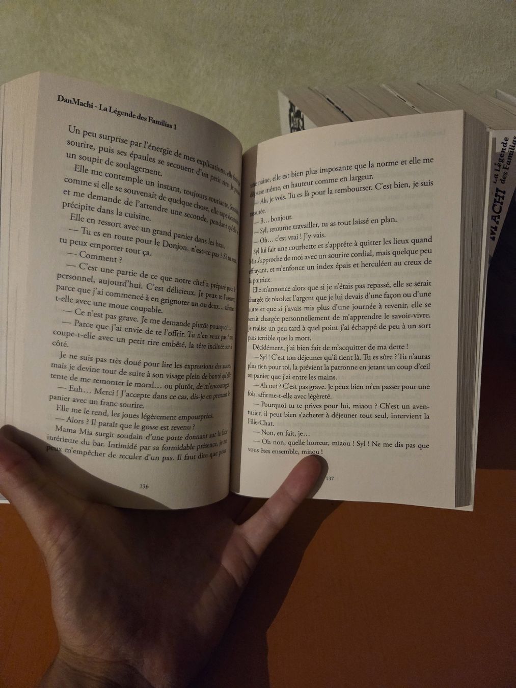 Bücher: Dan Machi - Tomes 1 à 9 - light novel – Gebraucht aus Yverdon Les Bains von GuillaumeJea 1