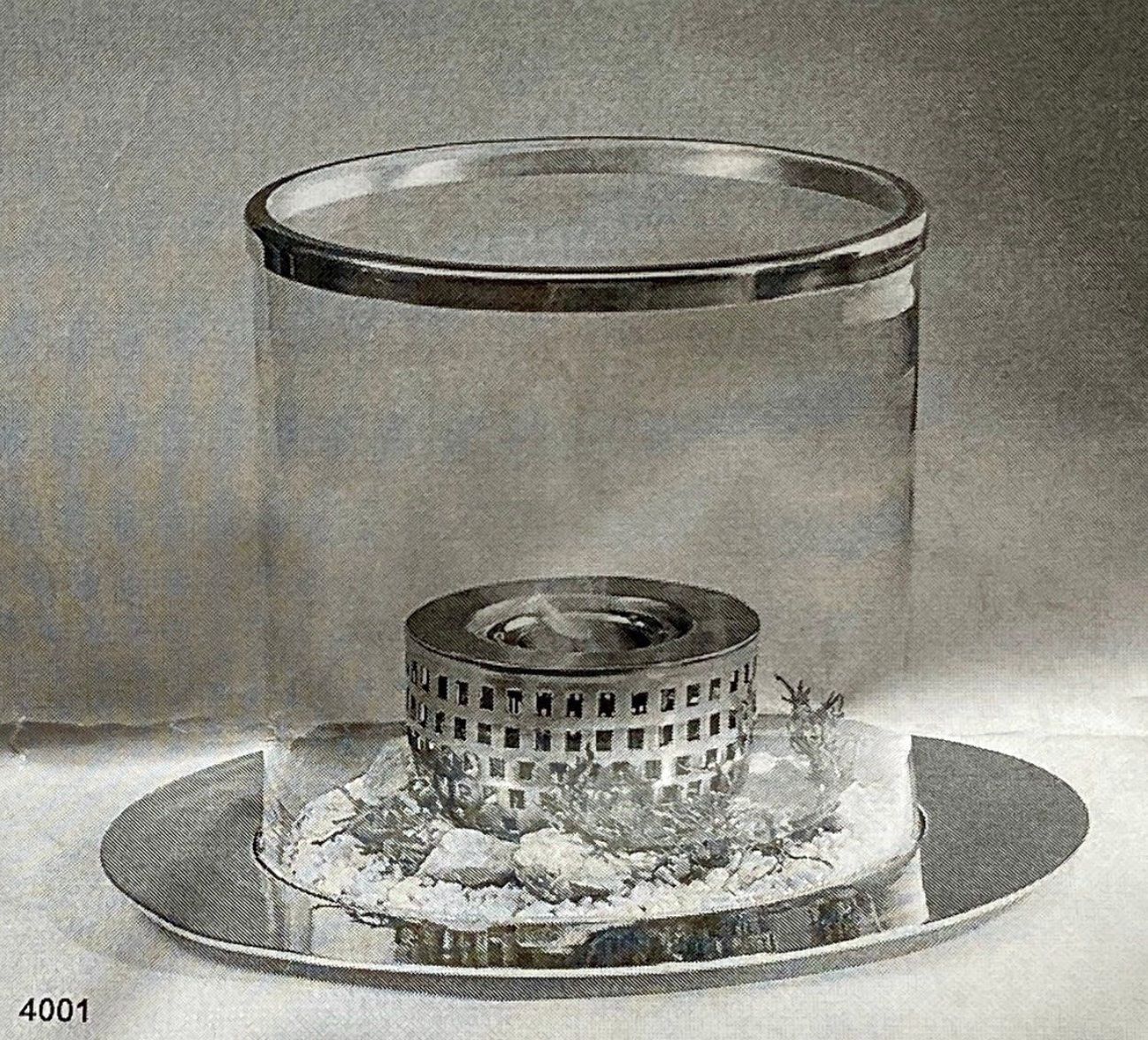 Bicchieri: Glas-Dekofeuer für draussen – Nuovo e nell'imballaggio originale da Herisau venduto da Sterod