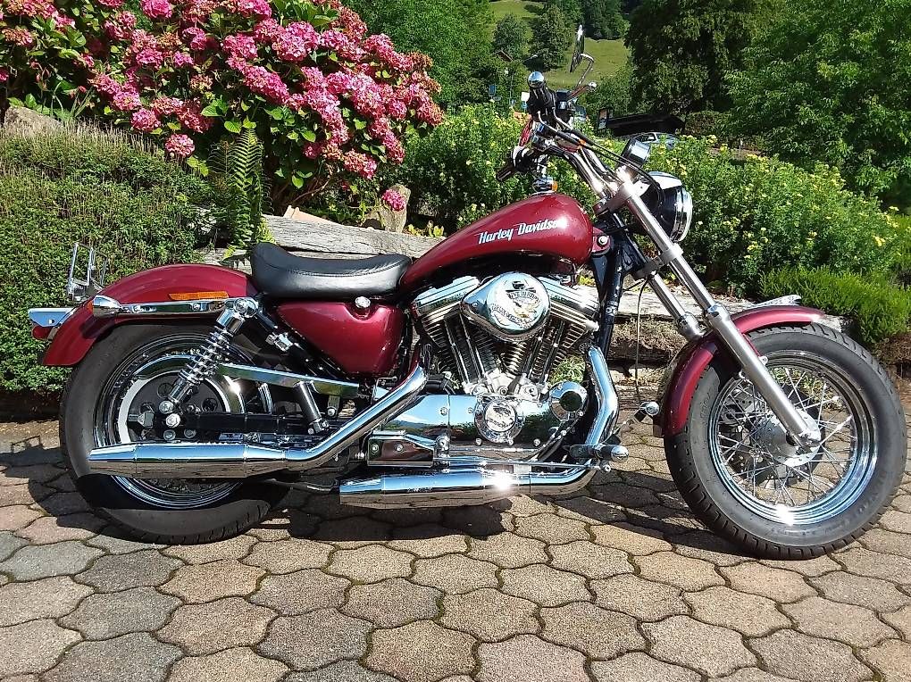 Harley-Davidson Chopper: Harley Davidson Sportster XLH 883 – Usato da Oberried Brienz venduto da kurs57 1