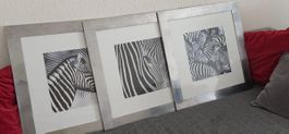 3 Bilderrahmen mit Zebra Motiv Metall Rahmen Grösse L