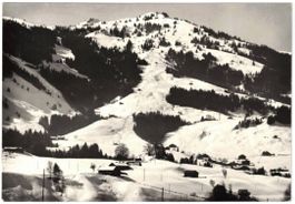 Château D'Oex Les Moulins- Télèski/Skilift Monts Chevreuils